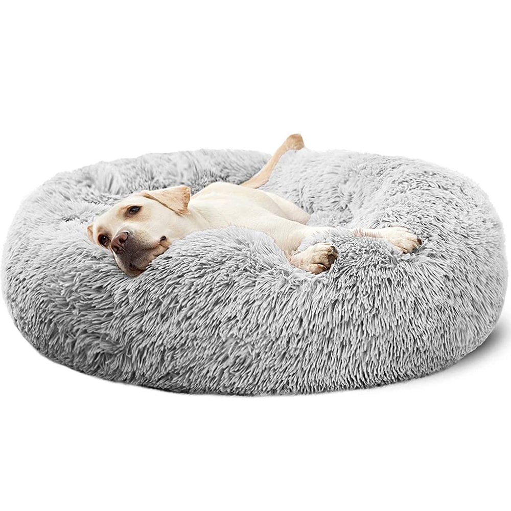 BalanceVista Dog Bed