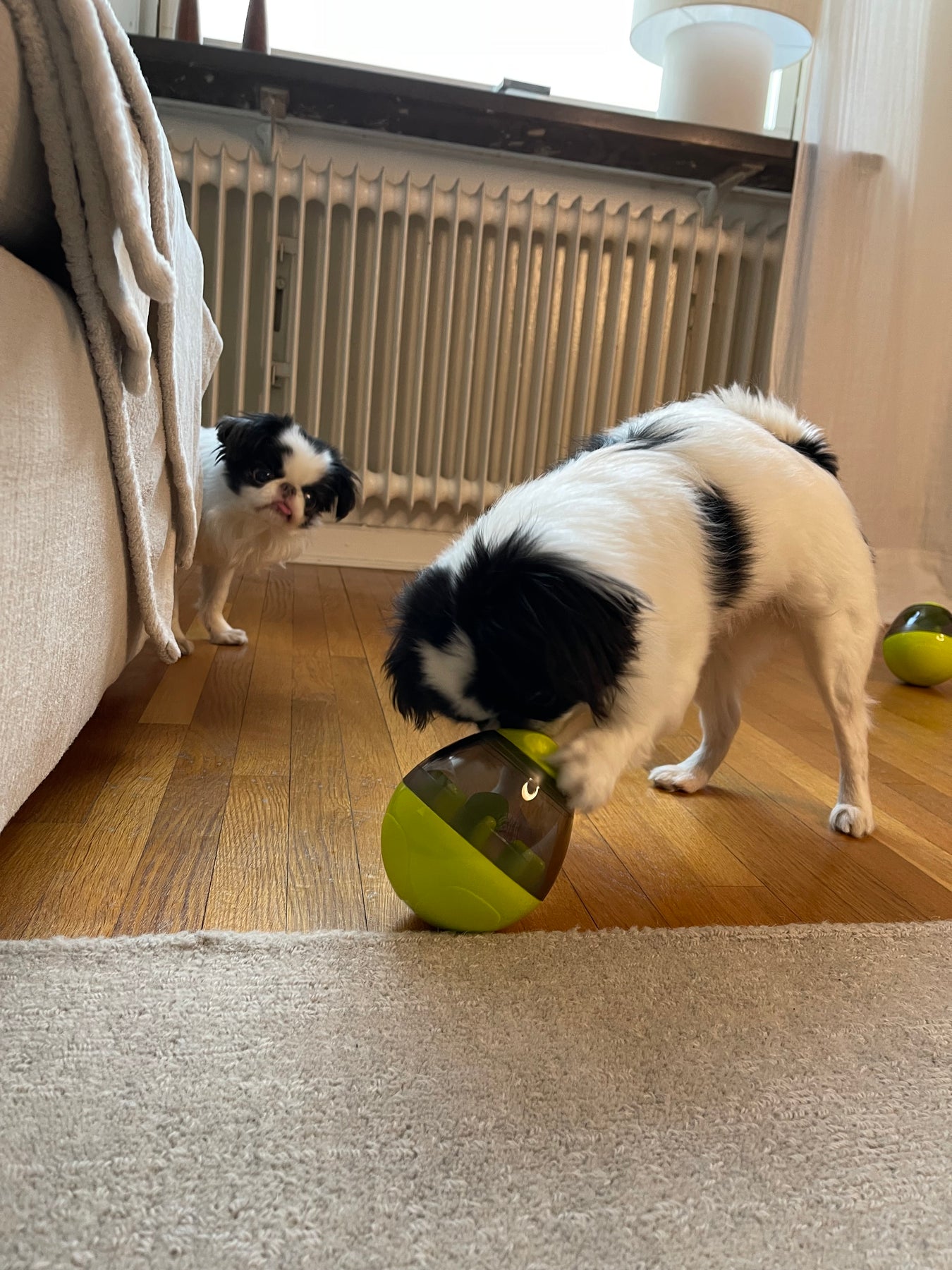 Food Toy - Keeps Your Dog Active