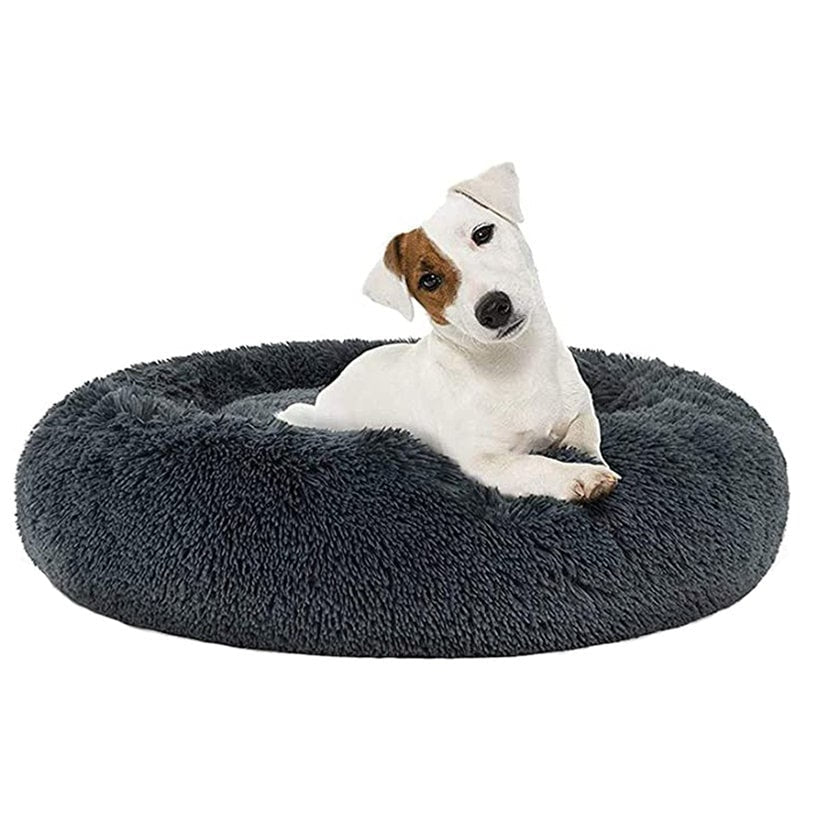 BalanceVista Dog Bed